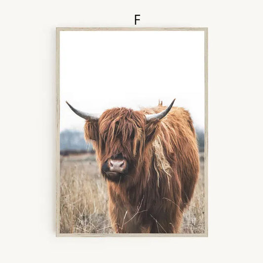 Highland Cow 2 | Wall Art Print